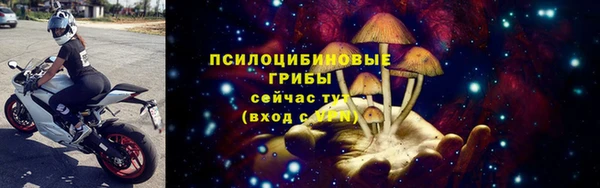 PSILOCYBIN Алзамай
