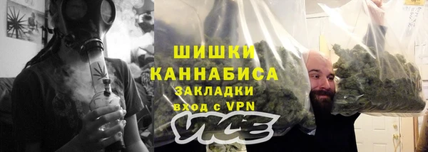 PSILOCYBIN Алзамай