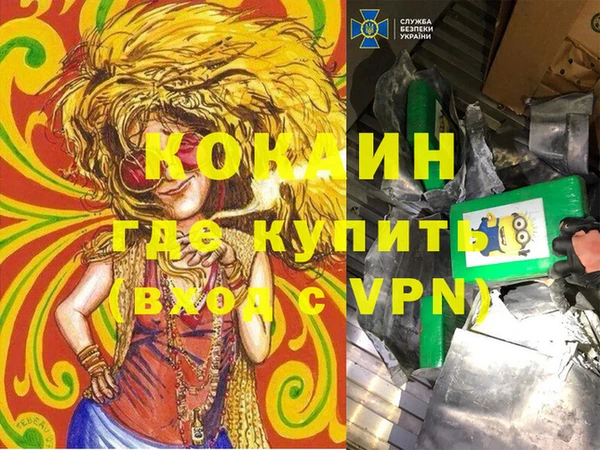 МДПВ Алексин