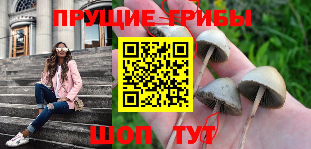 Белгород  Галлюциногенные грибы Cubensis  Галлюциногенные грибы MAGIC MUSHROOMS  Вход с VPN 