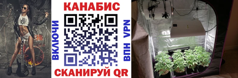 Марихуана тримм  как найти   Белгород 